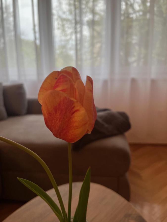 Apartment Lala ซอมโบร์ ภายนอก รูปภาพ